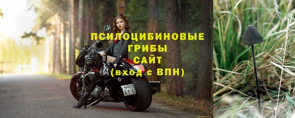 хмурый Алексеевка