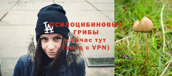 хмурый Алексеевка
