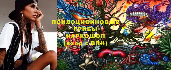 не бодяженный Алзамай