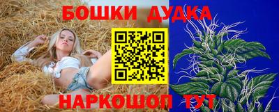 спиды Заволжье