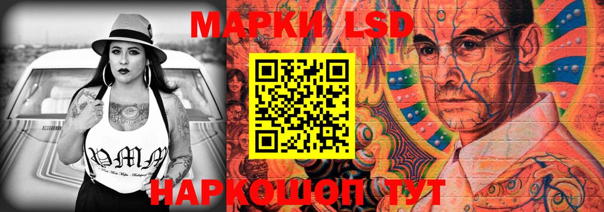 Новозыбков  ЛСД экстази  Лсд 25 экстази кислота  Вход с VPN  Лсд 25 экстази кислота 