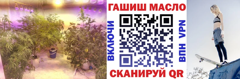 ТГК концентрат  hydra как войти  Новозыбков  где продают наркотики 