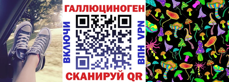 где продают наркотики  Новозыбков  Галлюциногенные грибы мицелий 