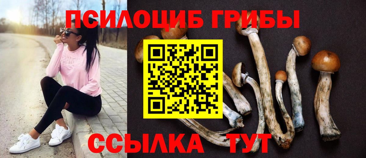 Галлюциногенные грибы MAGIC MUSHROOMS  Вход с VPN  Новозыбков 